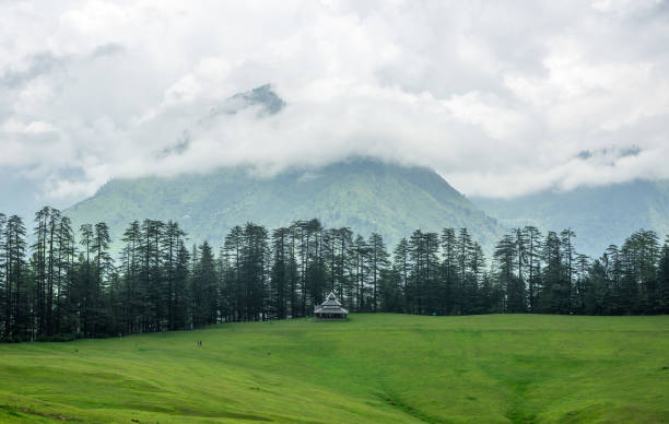 Valley Landscape